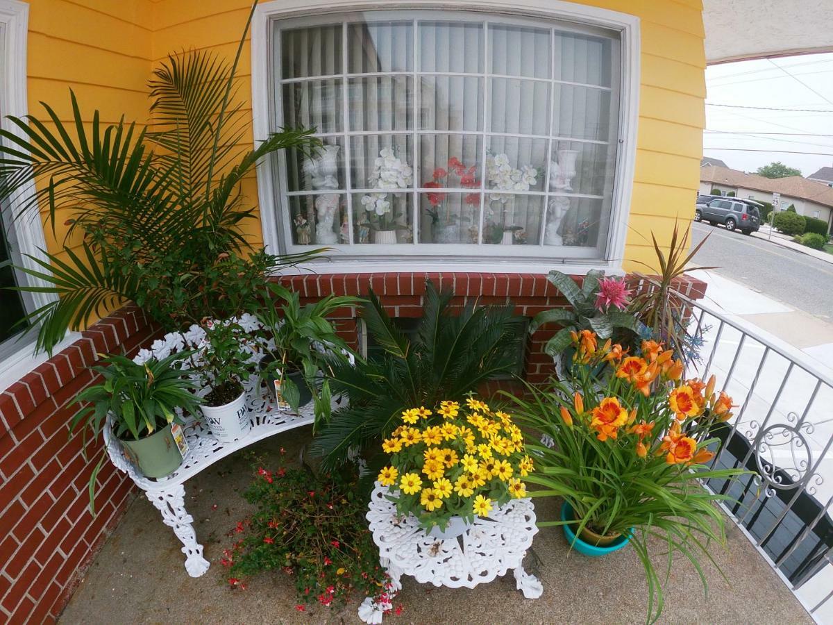 Sea Chest Motel Dot Com Wildwood Crest Εξωτερικό φωτογραφία